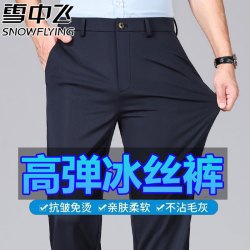 雪中飞 裤子男2026新款男士冰丝宽松爸爸夏装休闲裤中青年男装直筒长裤子 藏青