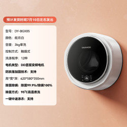 大宇 壁挂式洗衣机迷你小型婴儿宝宝内衣内裤洗衣机除菌除螨BGX05