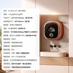 大宇 壁挂式洗衣机迷你小型内衣裤婴儿超薄洗烘一体机小壁虎BGX12H
