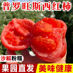 秋宜 陕西普罗旺斯水果西红柿番茄沙瓤新鲜蔬菜  精选 4.5斤 净重4斤+