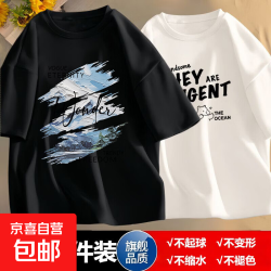 京喜 两件装港风短袖t恤男夏季宽松ins五分袖青少年潮流半袖体恤上衣男 雪山森林黑+字母熊白  3XL