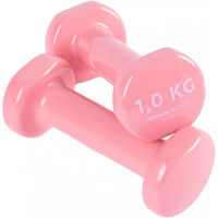 迪卡侬 Halteres Pvc 包胶哑铃 1KG*2只