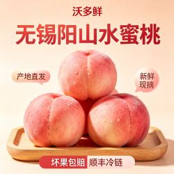 沃多鲜 无锡阳山水蜜桃 4-5两 新鲜脆甜