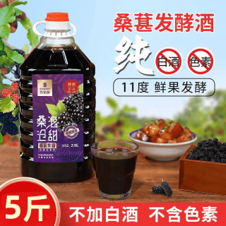 百伯利 桑葚酒11度微醺桑葚鲜果原汁发酵甜型果酒2.5L 桑葚酒-11°纯发酵5斤