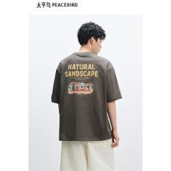 太平鸟 男装重磅刺绣短袖T恤夏后背印花 棕色 第一批 XL