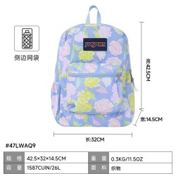 JANSPORT 青年学生书包 双肩背包-275272 42x32x14cm