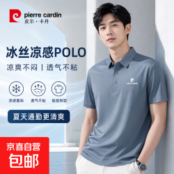 皮尔·卡丹 皮尔卡丹（pierre cardin）男士短袖T恤新款冰丝POLO衫凉感透气吸汗速干防晒不闷热商务轻奢 灰蓝色 2XL