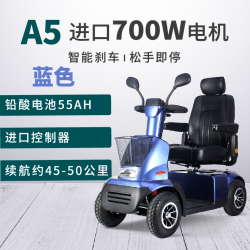 斯途玛 A5高端老人代步车四轮电动车家用接送孩子双人老年电瓶助力