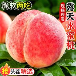 耕禾春山西水蜜桃4.5-5斤单果150g+
