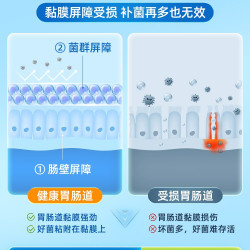 Life's Flora LifesFlora 舒伯特 益生菌养胃粉 30袋