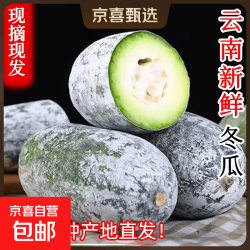 东东 云南香冬瓜 9斤 带箱净重8.8斤