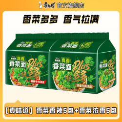 康师傅 真味道香菜面 96g*10包 方便面