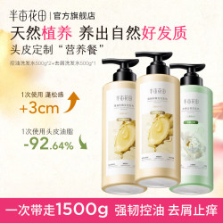 半亩花田 生姜洗发水护发素套装 1500g