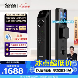 凯迪仕 P30 Pro Max 3D人脸识别 双摄版 智能门锁