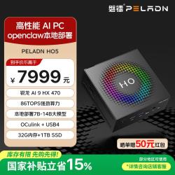 磐镭 迷你主机台式机AI P（ AMD锐龙AI9 HX 470、32G LD5X、1TB）