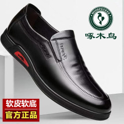 啄木鸟 正品男鞋2024新款商务休闲男士透气软底皮鞋男中年爸爸鞋子