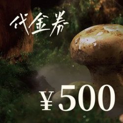 500元代金券|限1张