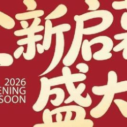 100元代金券|限2张