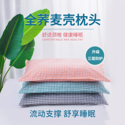 夏季清凉透气眠枕 荞麦枕 成人睡眠枕 大号 吸汗 单人枕
