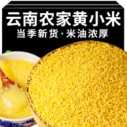 云南特产正宗黄小米熬粥米油丰富的优质杂粮