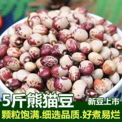 云农伯伯 新货熊猫豆云南农家自产新鲜饭豆花豆批发新豆
