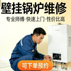 上门维修阿里斯顿贝雷塔八喜锅炉不制热不点火漏水保养