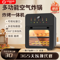 扬子 空气炸锅加大升级款烤箱可视化触屏多层免翻面蒸烤炸多功能