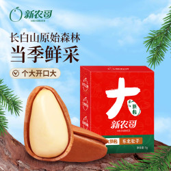 新农哥 大颗粒东北尝鲜装8g*6盒孕妇休闲解馋小零食特大号松子喝茶