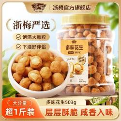 浙梅 多味花生503g下酒菜炒货罐装小吃解馋怀旧零食BD