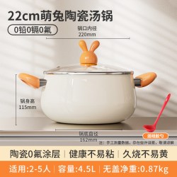 爱仕达 陶瓷汤锅家用蒸锅不粘煮粥煮面锅双耳锅燃气电磁炉蒸煮炖锅