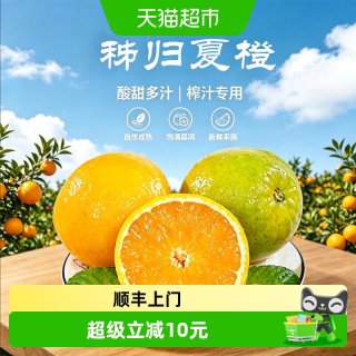 淘金币可用、88VIP：农鲜淘 湖北秭归夏橙4.5斤 单果170-190g