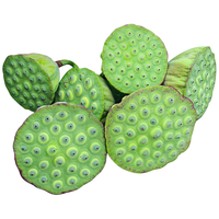 洪湖农家 新鲜莲蓬带壳 3斤 生鲜蔬菜