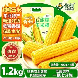 佟创 东北黄糯玉米200g*6棒  甜糯即食黄玉米 1200g 源头直发