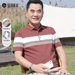 宝财羊 父亲节爸爸装短袖t恤男含桑蚕丝夏季冰丝中老年凉感polo衣服 175 咖色