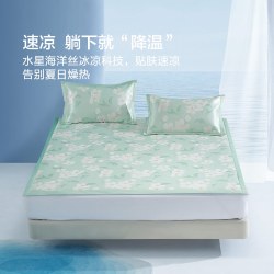 水星家纺 A类抑菌防螨印花冰丝席二/三件套空调席凉席子 风沐花意可水洗印花冰丝席150*200cm