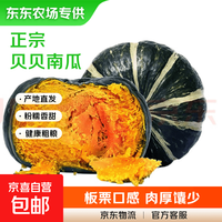 京东 正宗新鲜贝贝南瓜健康粗粮蔬菜生鲜宝宝辅食 山东贝贝南瓜健康粗粮宝宝辅食含箱 6斤 （净重5.6斤）