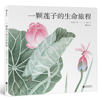 《一颗莲子的生命旅程》（精装）