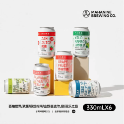 大九 酿造全家福水果西打小麦芭乐果泥海盐古斯330ML易拉罐精酿啤酒