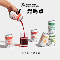 大九 全家福果啤精酿啤酒 330ml*12罐