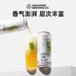大九 浑浊IPA 精酿啤酒