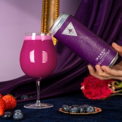 山乘 酿造 果泥精酿啤酒 月亮营业中 听我解释果酒 破咒者浑浊IPA啤酒 暮色散场后 500mL 1罐 西打果酒