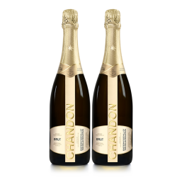 夏桐 天然高泡葡萄酒 霞多丽 起泡酒 750ml*2瓶