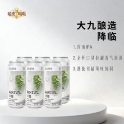 大九 酿造降临浑浊啤酒165P65vol500mlx6 大九酿造-降临浑浊IPA啤酒 x 500mL 6瓶