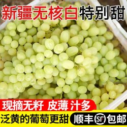 净态 新疆无核白葡萄 4.5斤