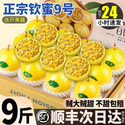 蜜自然 广西 黄金百香果 5斤 特大果