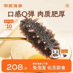 明威 即食海参500g深海辽刺参非鲜活海鲜刺参礼盒装