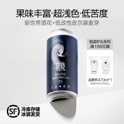 纸飞机酿造 破晓现代西海岸IPA 国产纸飞机精酿啤酒473ML 473mL 2罐