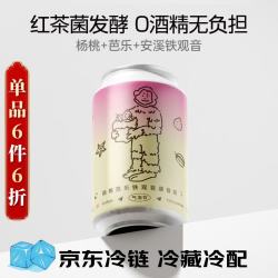 纸飞机酿造 杨桃芭乐铁观音康普茶气泡饮 330ml*1罐