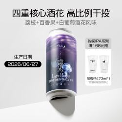纸飞机酿造 噬光TDH三倍浑浊IPA 国产纸飞机强酒花精酿啤酒 473mL 2罐