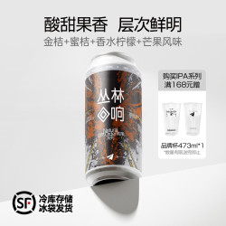 纸飞机酿造 丛林回响酸浑浊IPA 国产纸飞机精酿啤酒473ML 473mL 2罐